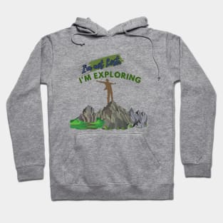 I'm not lost, I'm exploring  boys T- shirt Hoodie